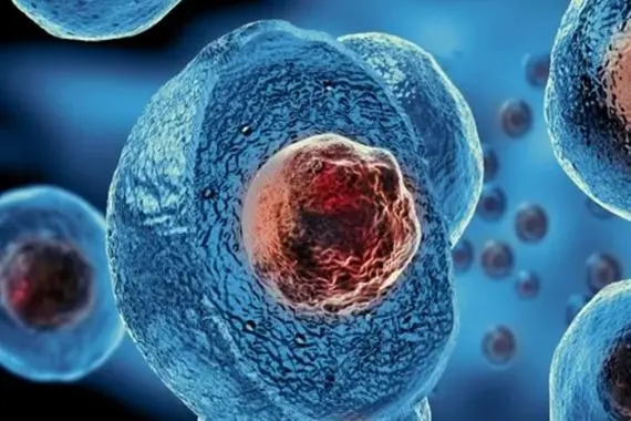 囊胚培养会增加试管成功率吗？有什么方式？1.webp.jpg