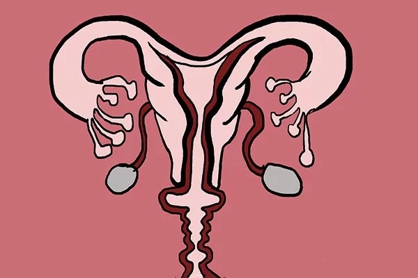 备孕发现子宫内膜薄，怎么样提高呢？.webp.jpg
