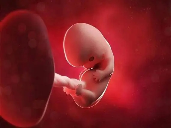 胚胎质量差可以移植吗？怎么提高胚胎质量呢？1.webp.jpg