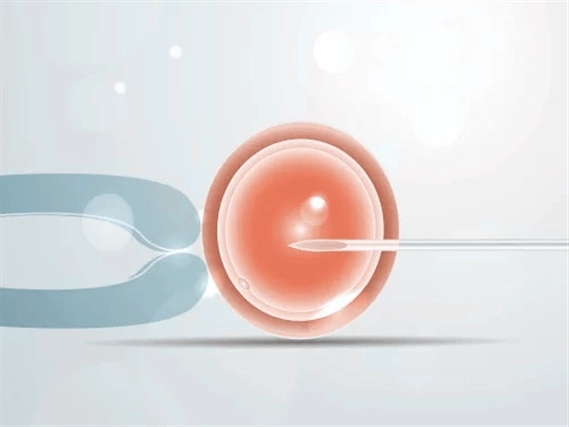 试管多次促排，取卵多次会对卵巢造成伤害吗？