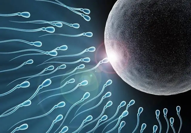 试管取卵多但配不成胚胎是什么原因？.webp.jpg